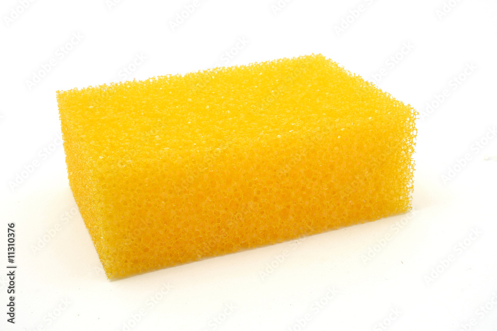 sponge sponge