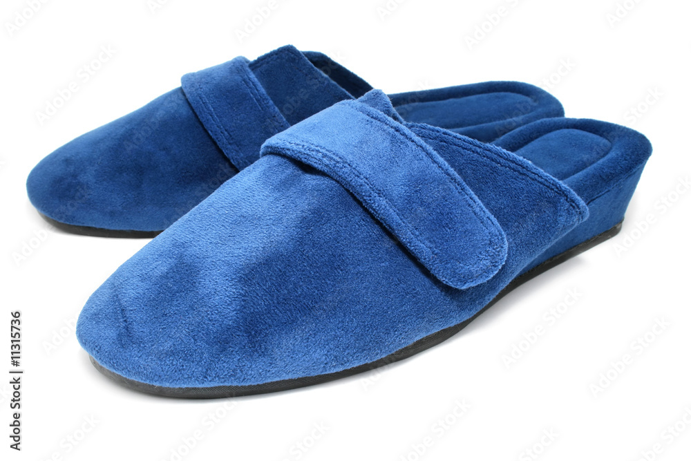 blue slippers shoes isolated blue slippers shoes isolated