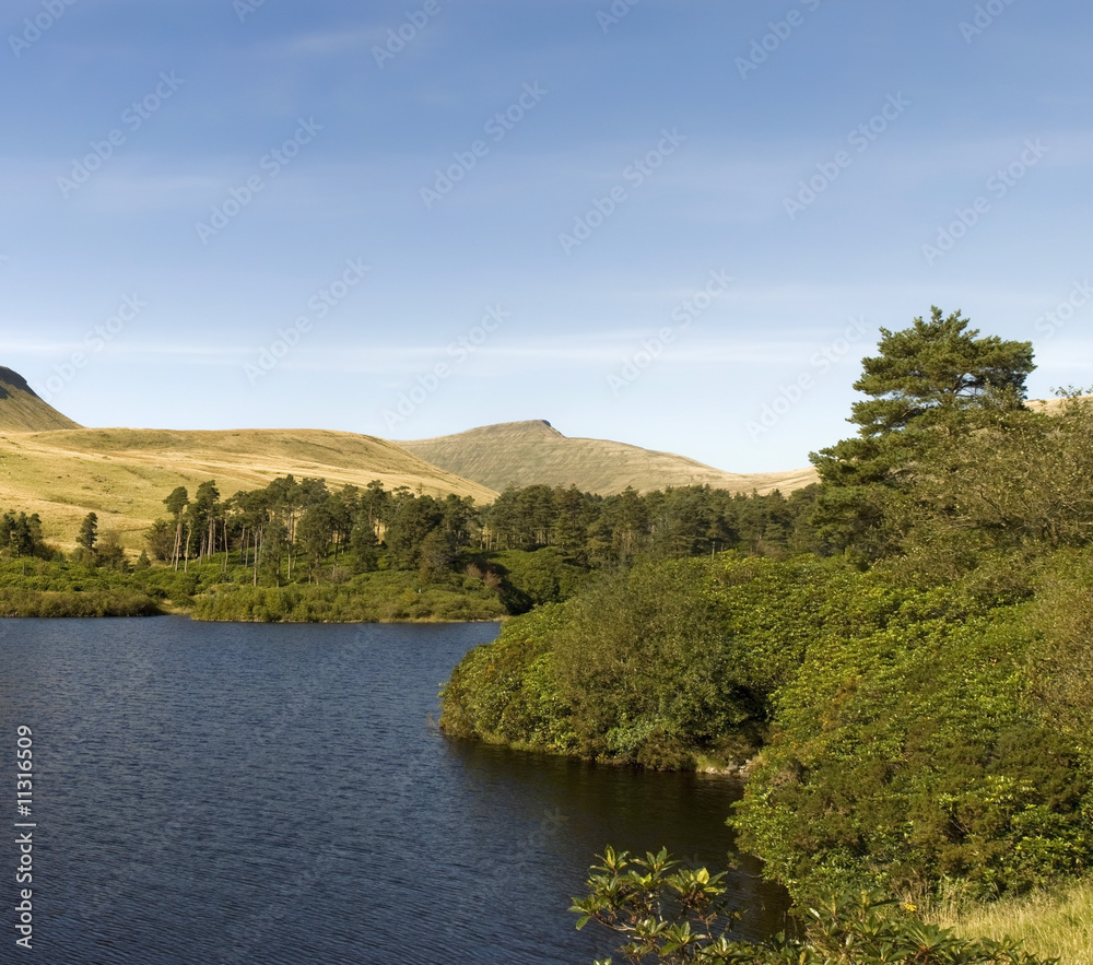 reservoir reservoir