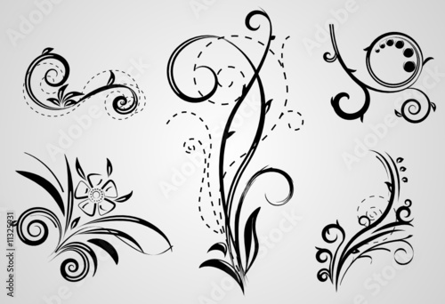 set of decorative floral elements