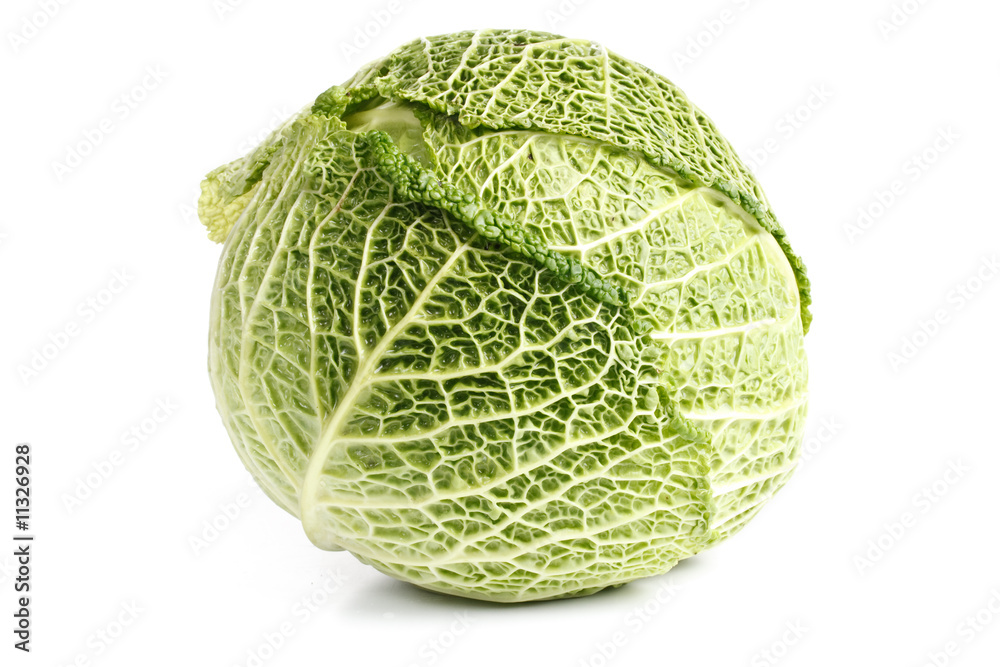 Fototapeta premium Fresh cabbage