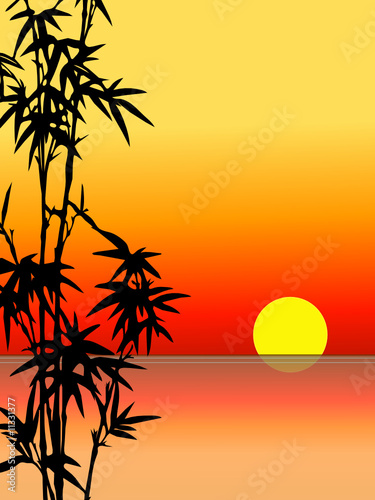 Bamboo silhouette with setting sun