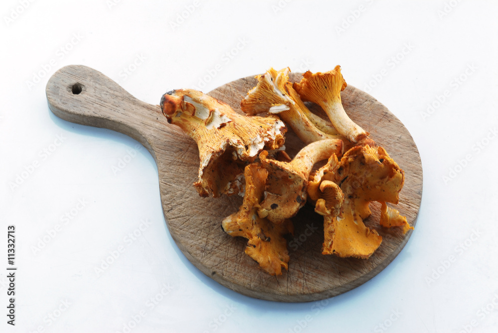 Finferli - Cantharellus cibarius