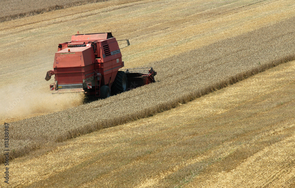 Obraz premium red harvester