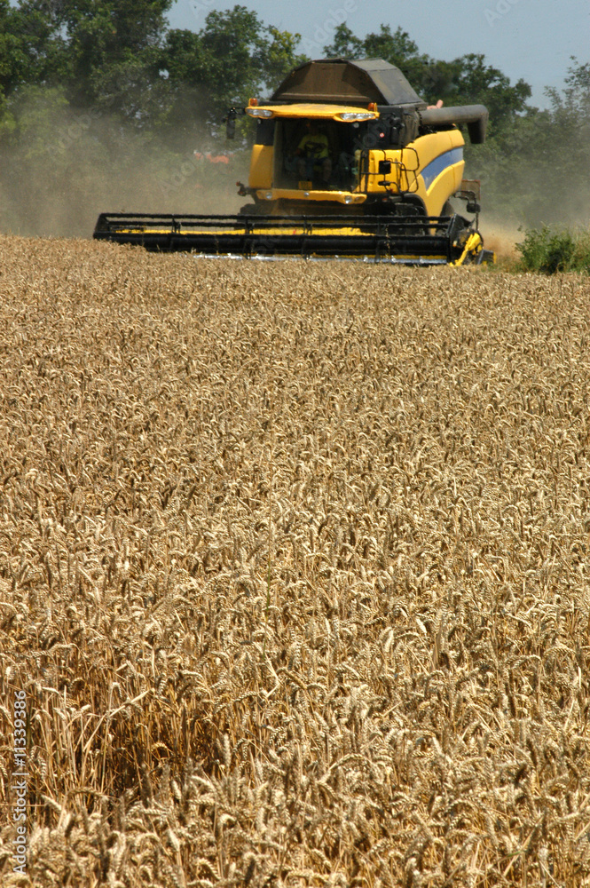 Obraz premium harvester