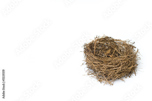 Empty Bird's Nest Isolated On White Background