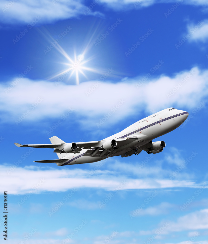 Obraz premium airliner: aircraft in the blue sky