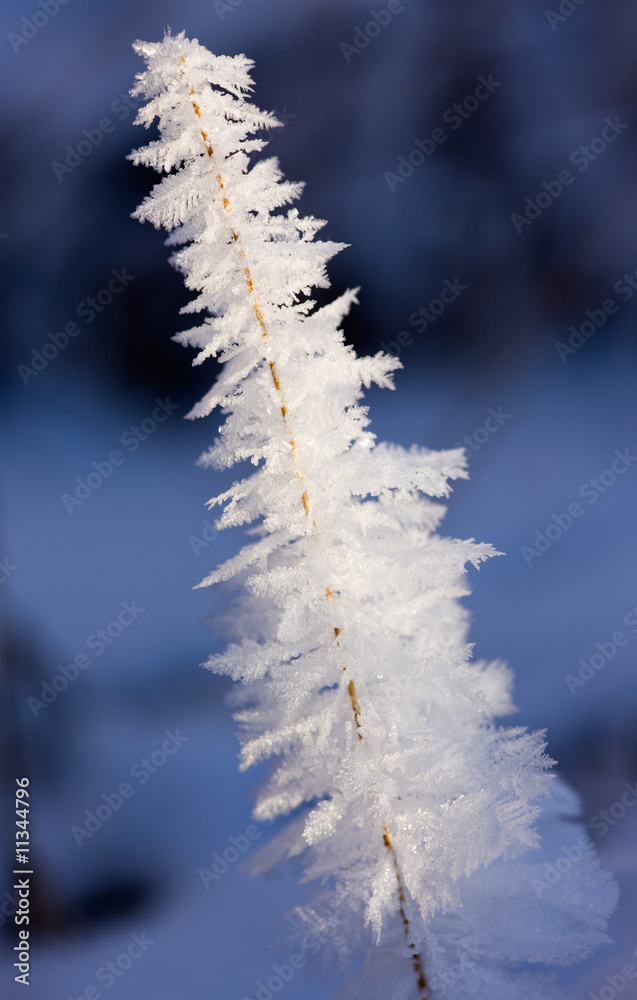 Winter abstract Winter abstract