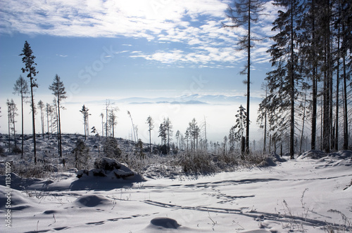 Winter landscape photo