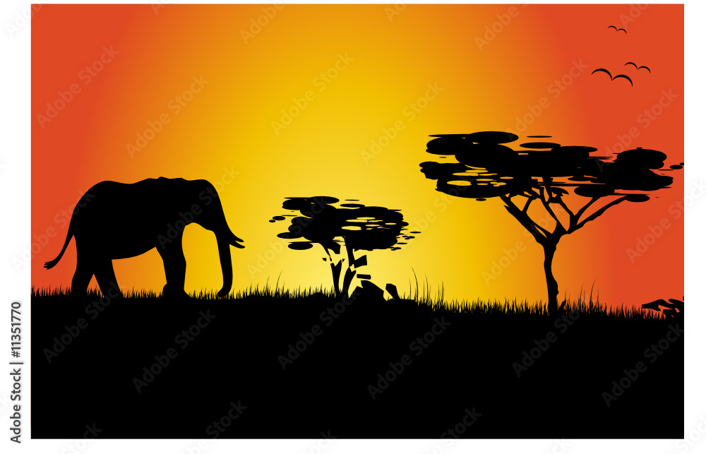 Silhouette of elephant and tress - sunset in Africa