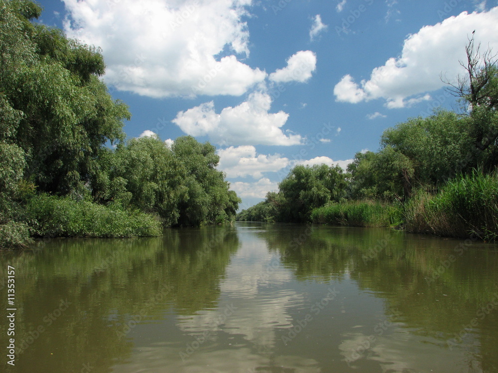 Fototapeta premium Small chanel in Danube Delta
