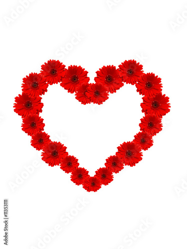 red heart from flowers at white background