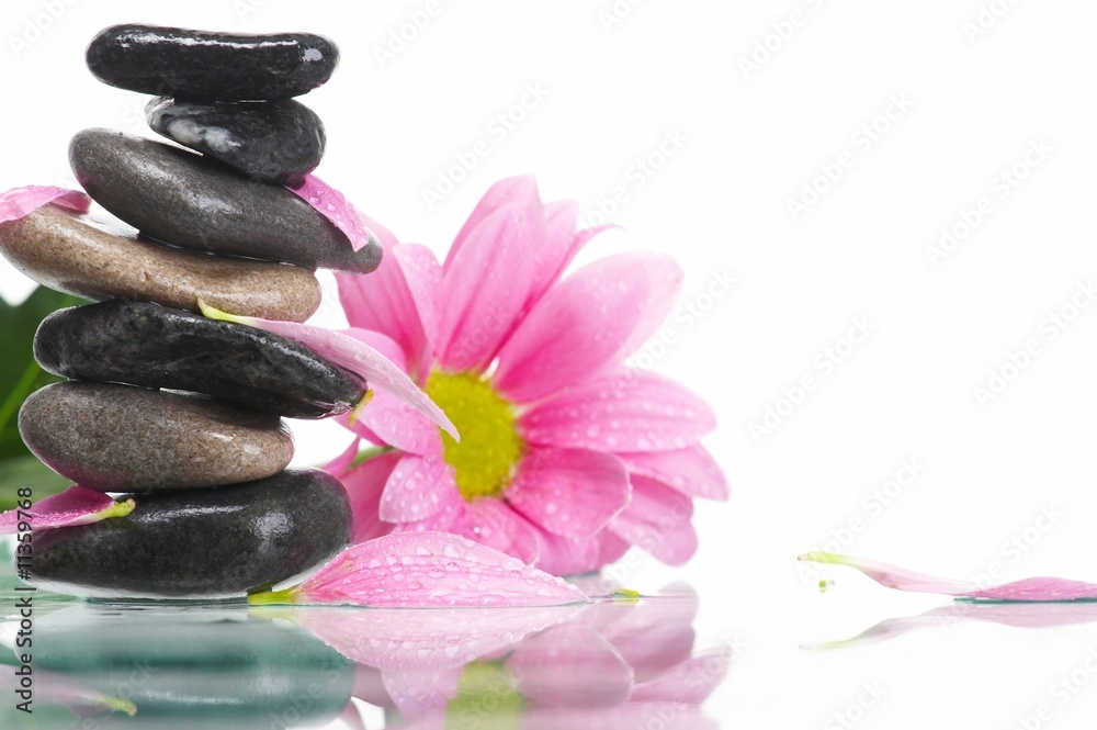 Fototapeta premium Spa still life