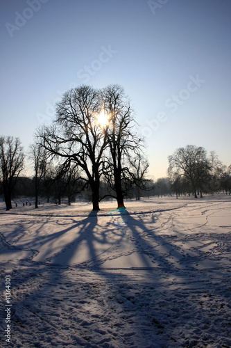 Winter