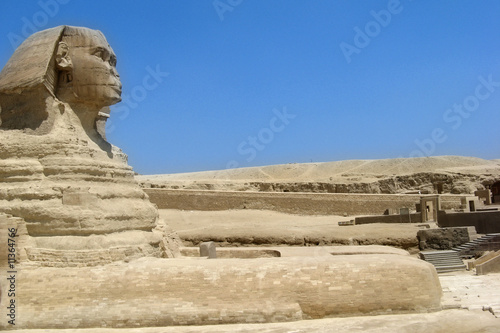 Sphinx with summer blue sky in Giza  Cairo