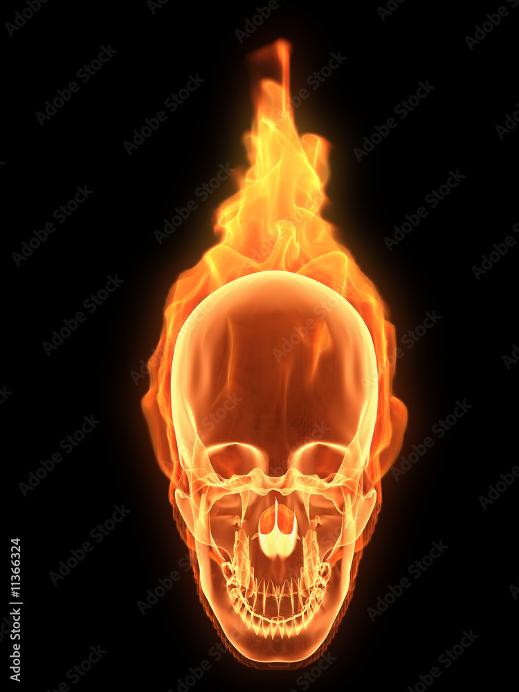 menschlicher schädel in flammen menschlicher schädel in flammen