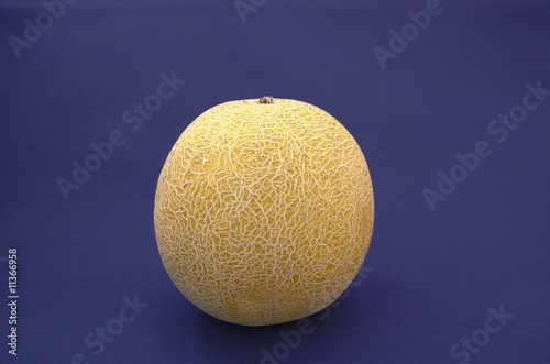 Netzmelone II