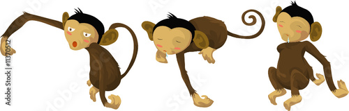 Sleepy  monkeys