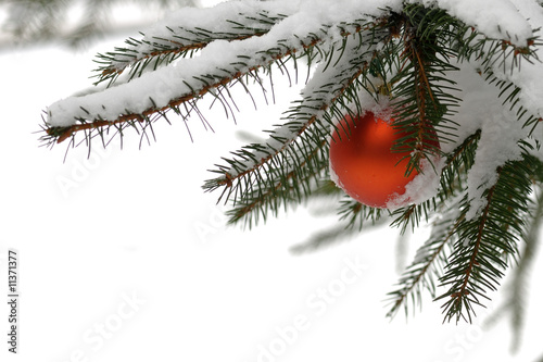 Red bauble on a snow