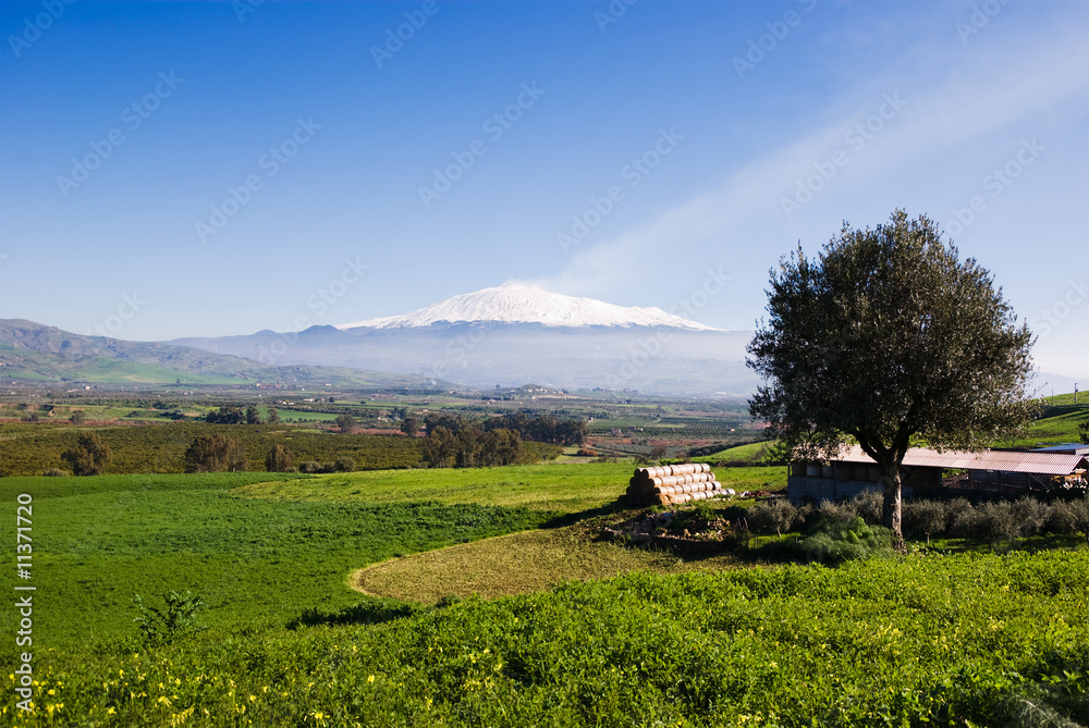 rural landscape and snowy volcano etna