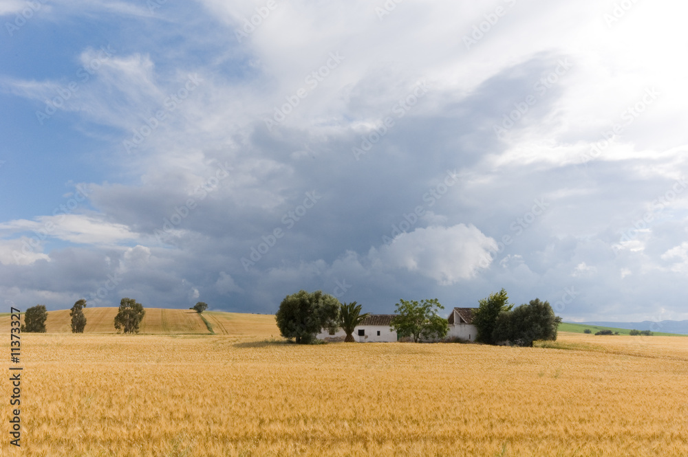 Fototapeta premium ciel après l'orage