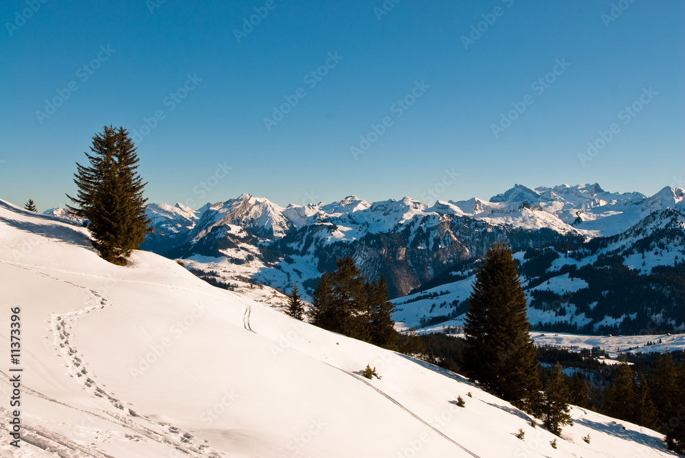Fototapeta premium winter scene in swiss alps