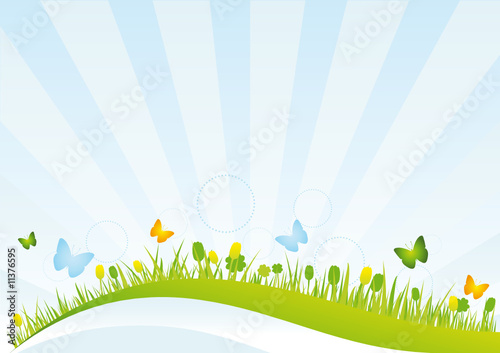 Spring Field with Flowers and Butterflies