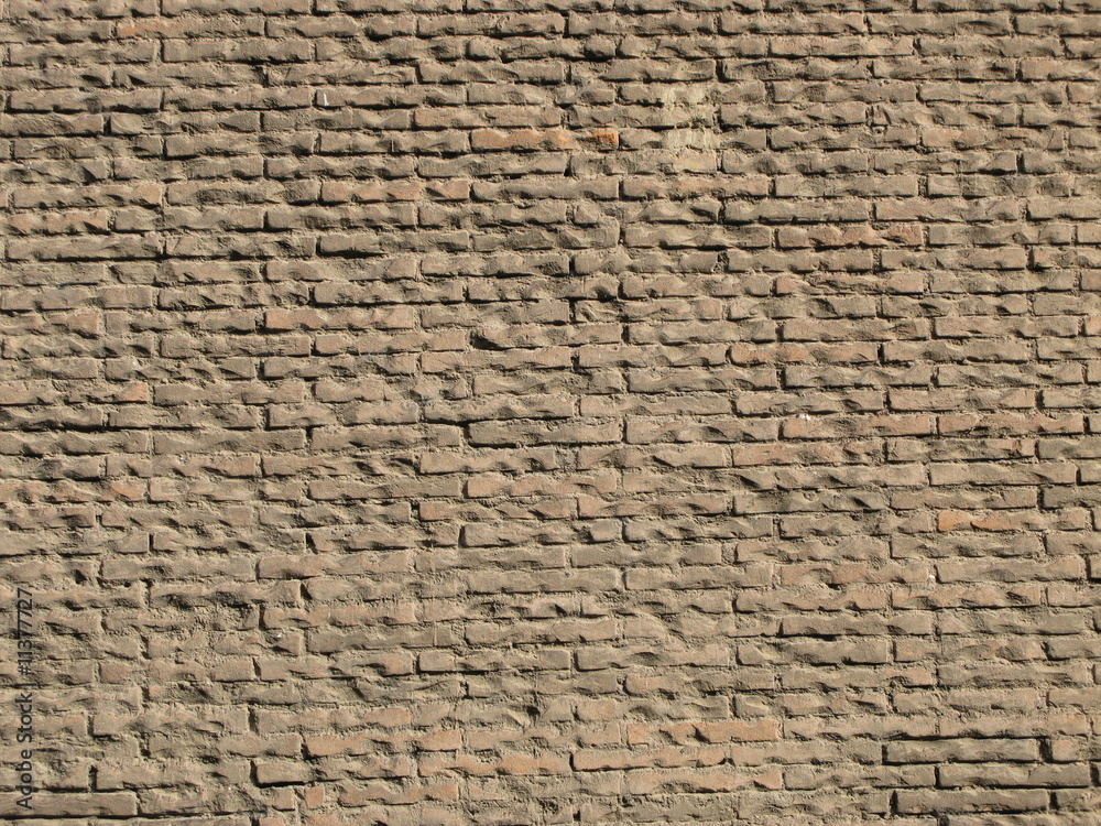 Obraz premium Brick Wall