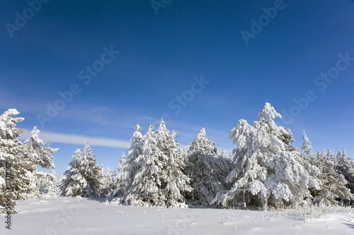 Winter mountain view