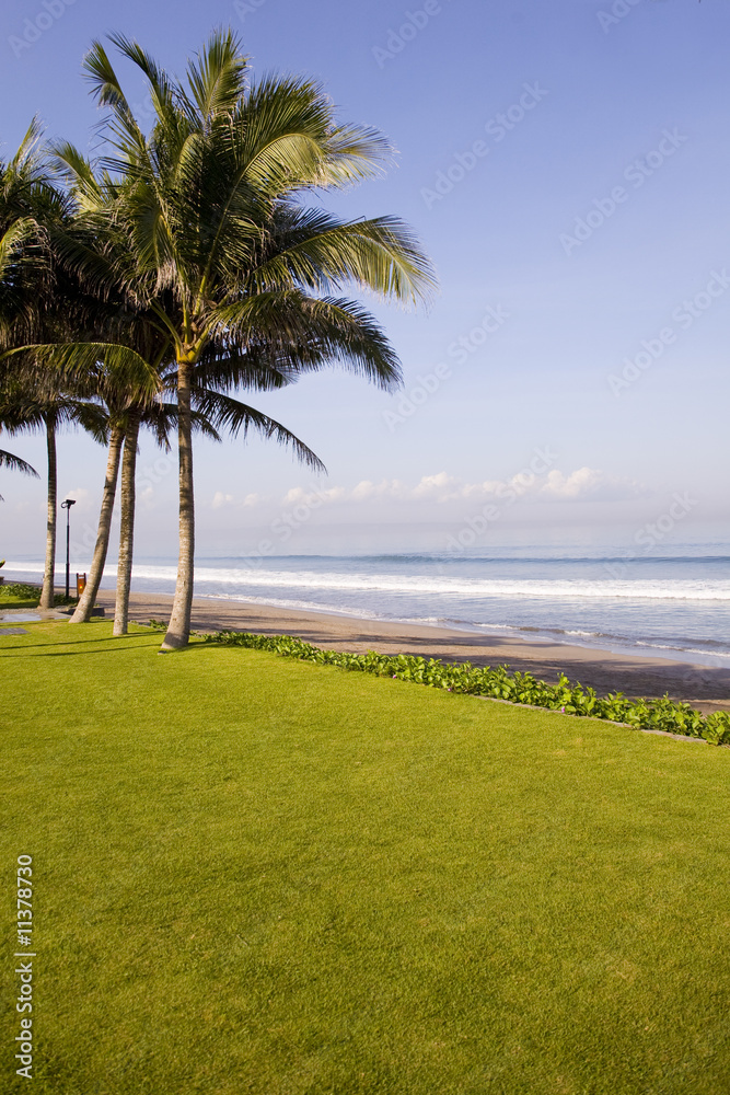 Tropical beach Tropical beach