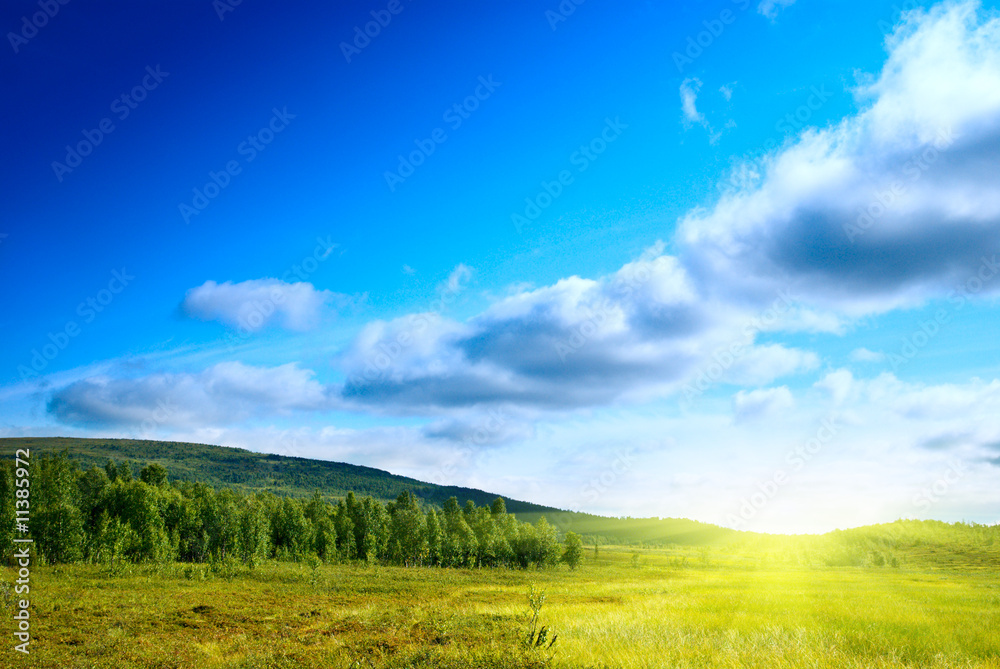 Fototapeta premium north tundra