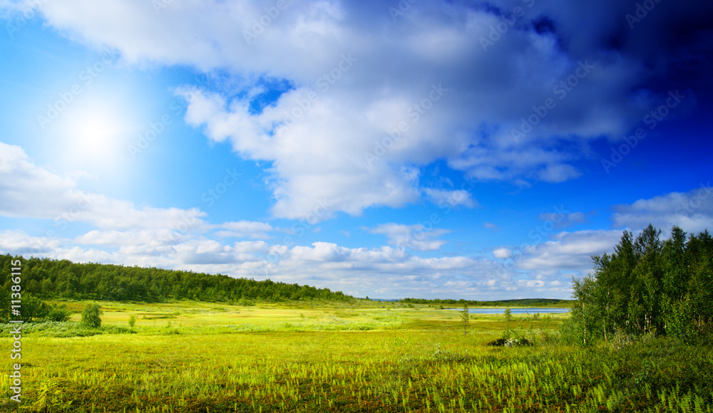 Obraz premium grass and north mountain