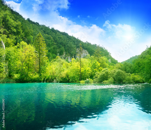 lake in deep forest