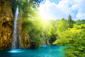 Fotobehang Zomer Watervallen in mystiek bos  © Iakov Kalinin