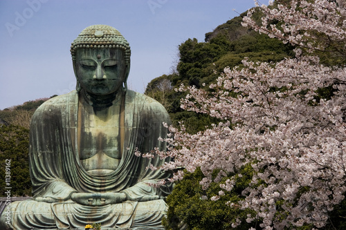 Kamakura Daibutsu with cherry blossoms
