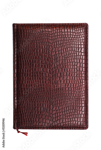 brown notes diary
