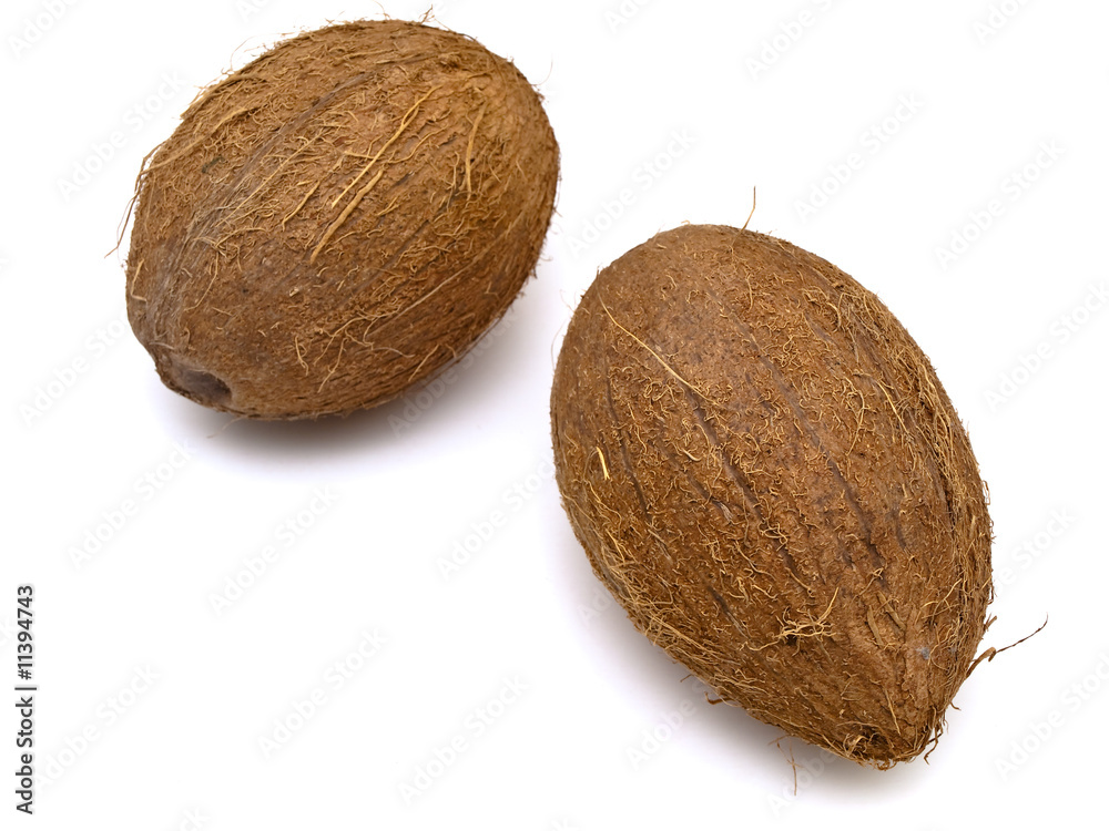coconut coconut