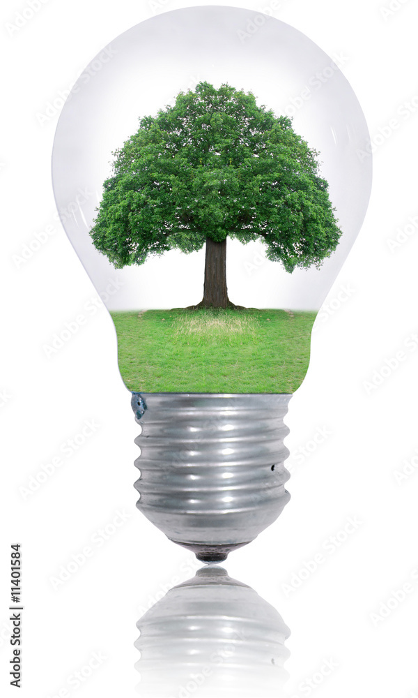 Protect environement Protect environement