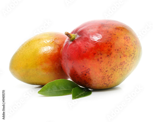 fresh mango fruits with green leafs isolated