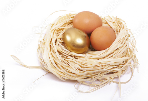 Golden egg finance concept