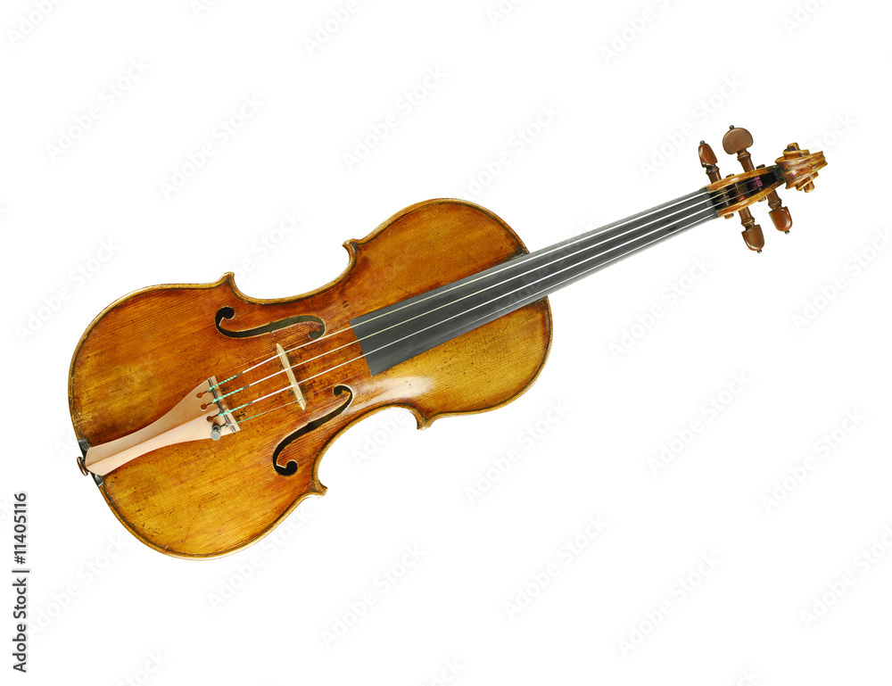 Fototapeta premium violin