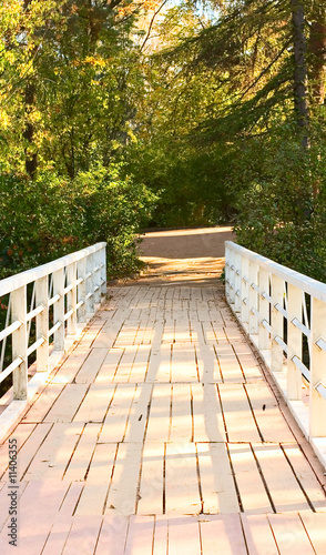 Park bridge background