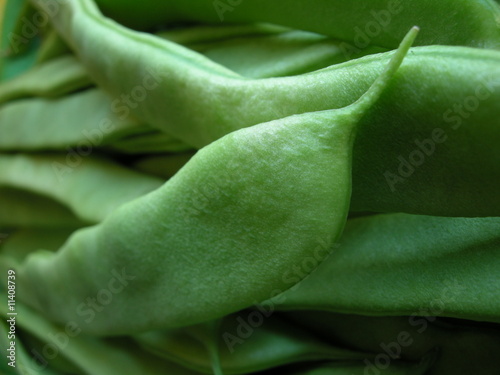 Foto judia verde