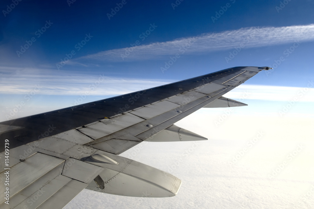 Obraz premium airplane wing