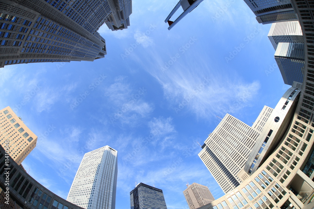 Obraz premium Tokyo Metropolitan Government Buildings