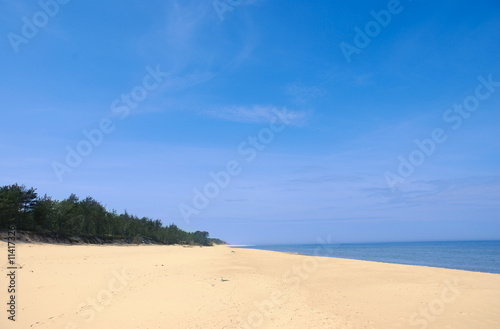Fototapeta Naklejka Na Ścianę i Meble -  wide empty summer beach