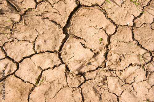 tierra seca