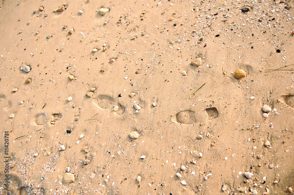 trace on sand trace on sand