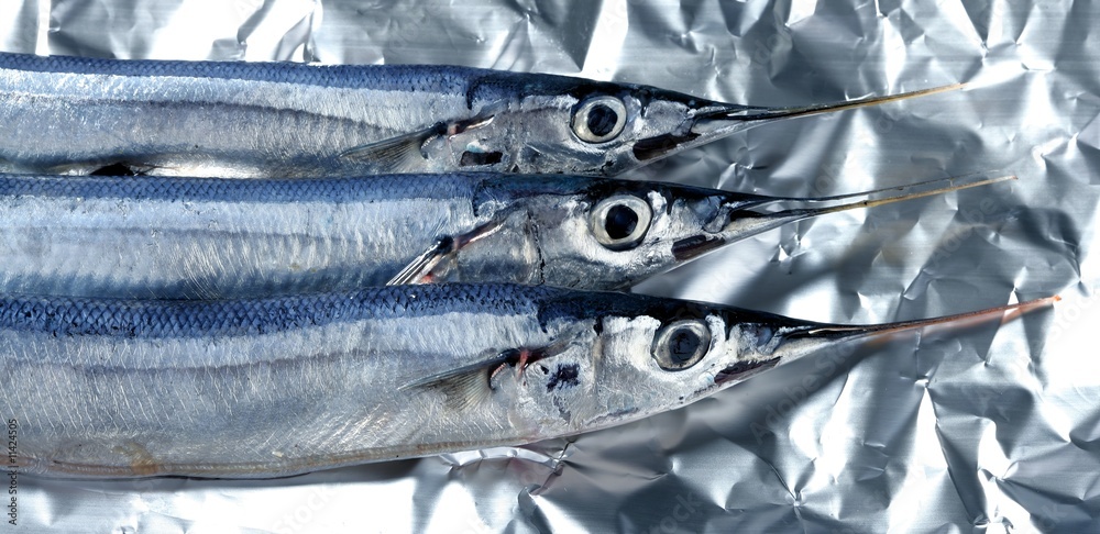 Fototapeta premium three needle fish, uncooked macro studio shot