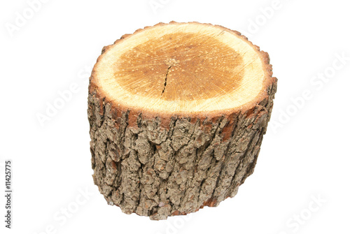 Wooden stump isolated on white.